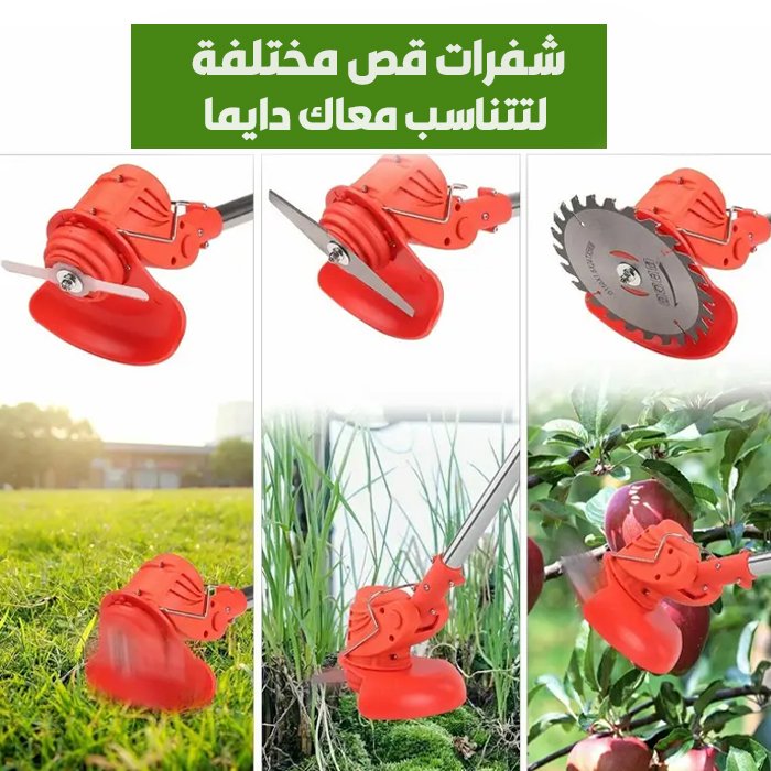 ضص